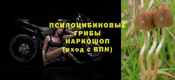 хмурый Белоозёрский
