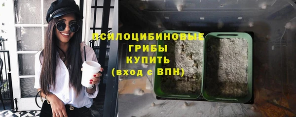 MDMA Белокуриха